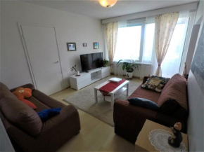City centre apartment Siilinjärvi Siilinjärvi